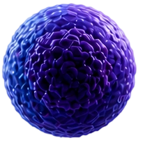 Cell 3