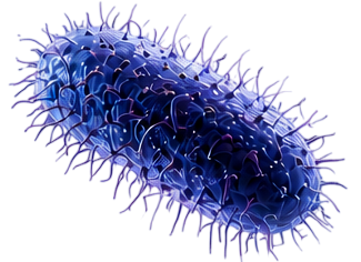 Cell 4