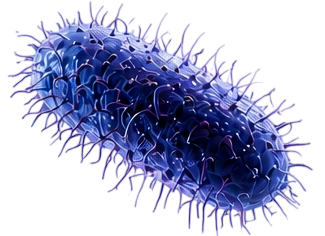 Cell 4